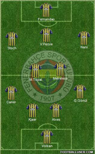 Fenerbahçe SK Formation 2015
