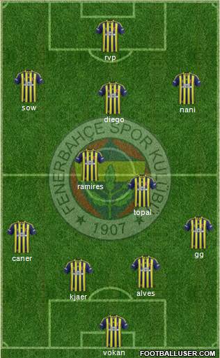 Fenerbahçe SK Formation 2015