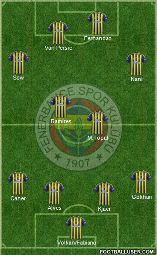 Fenerbahçe SK Formation 2015