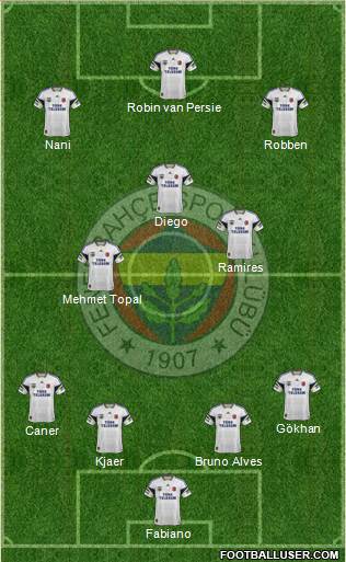 Fenerbahçe SK Formation 2015