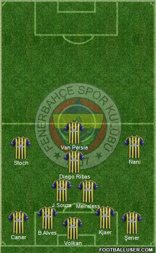 Fenerbahçe SK Formation 2015