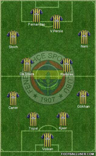 Fenerbahçe SK Formation 2015