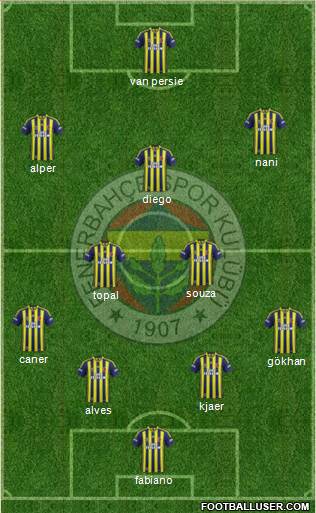 Fenerbahçe SK Formation 2015