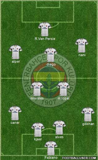 Fenerbahçe SK Formation 2015