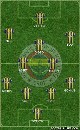 Fenerbahçe SK Formation 2015