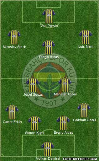 Fenerbahçe SK Formation 2015