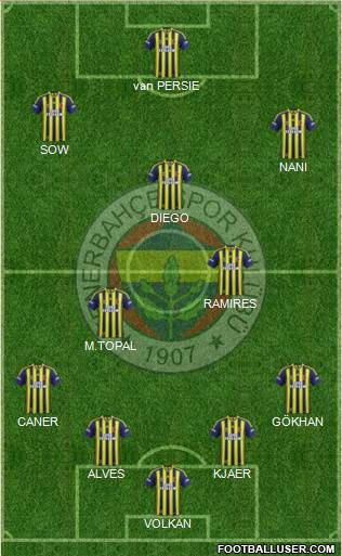 Fenerbahçe SK Formation 2015