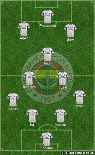 Fenerbahçe SK Formation 2015