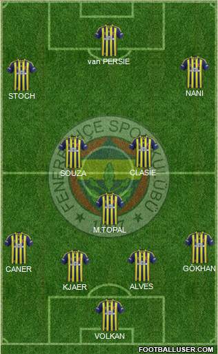 Fenerbahçe SK Formation 2015