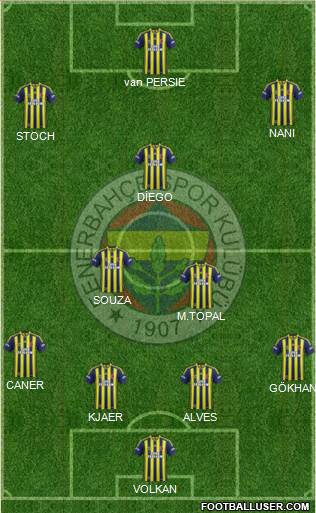 Fenerbahçe SK Formation 2015