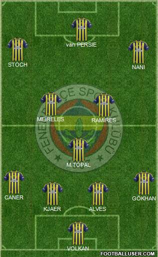 Fenerbahçe SK Formation 2015