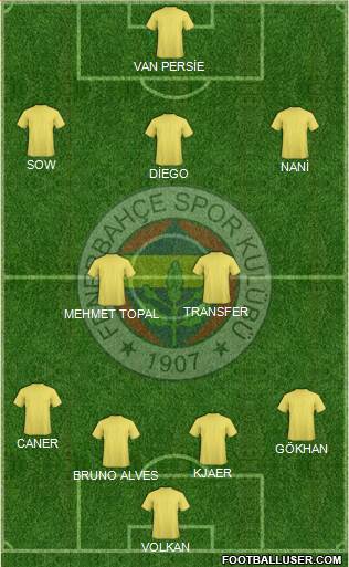 Fenerbahçe SK Formation 2015