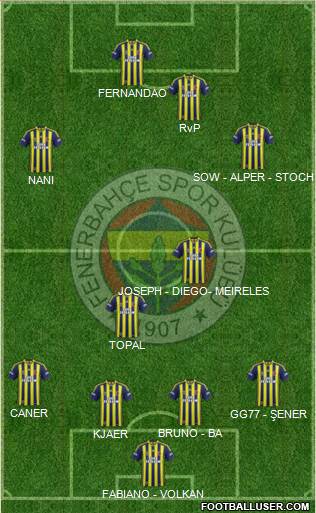 Fenerbahçe SK Formation 2015