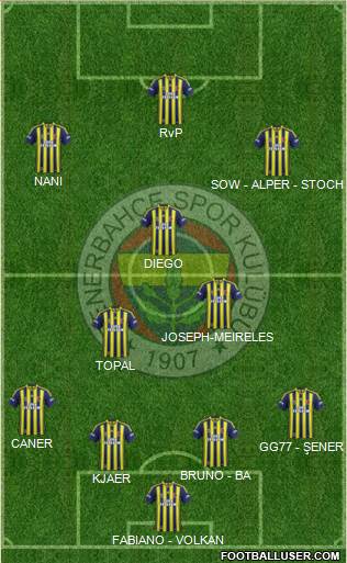 Fenerbahçe SK Formation 2015