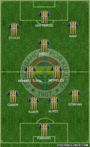 Fenerbahçe SK Formation 2015