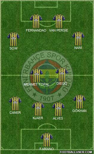Fenerbahçe SK Formation 2015