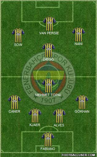 Fenerbahçe SK Formation 2015