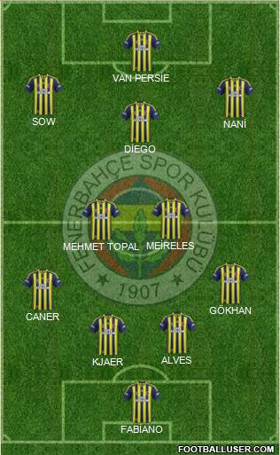 Fenerbahçe SK Formation 2015