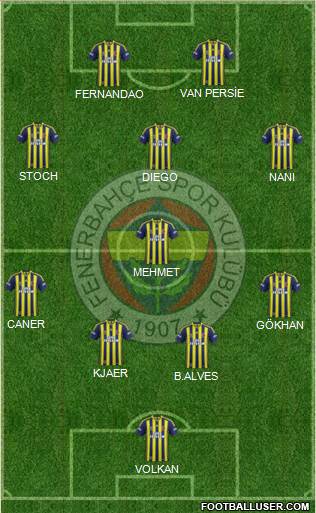Fenerbahçe SK Formation 2015