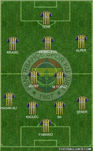 Fenerbahçe SK Formation 2015