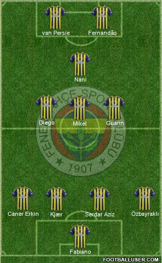 Fenerbahçe SK Formation 2015