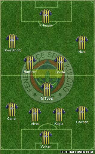 Fenerbahçe SK Formation 2015