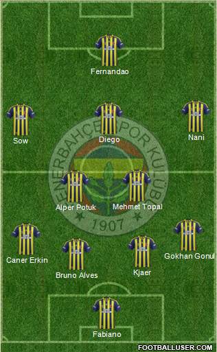 Fenerbahçe SK Formation 2015