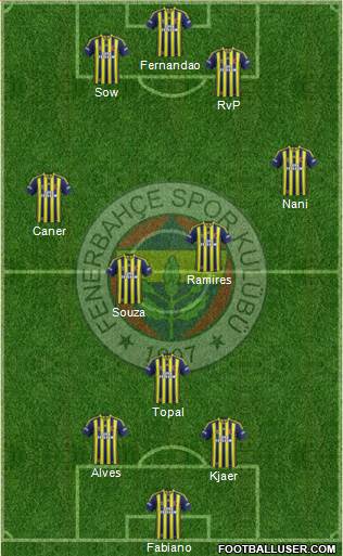 Fenerbahçe SK Formation 2015