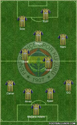 Fenerbahçe SK Formation 2015