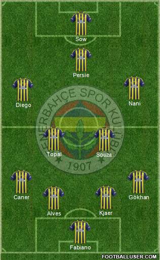 Fenerbahçe SK Formation 2015