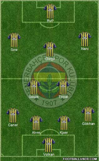 Fenerbahçe SK Formation 2015