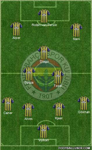Fenerbahçe SK Formation 2015
