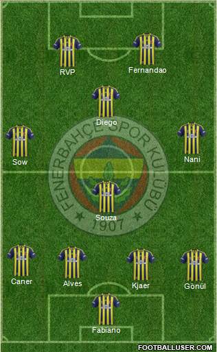 Fenerbahçe SK Formation 2015