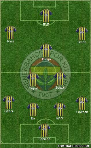 Fenerbahçe SK Formation 2015