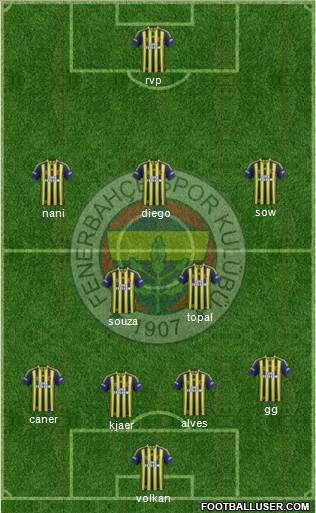 Fenerbahçe SK Formation 2015