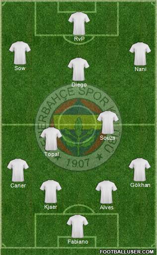 Fenerbahçe SK Formation 2015