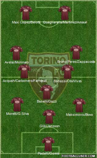 Torino Formation 2015