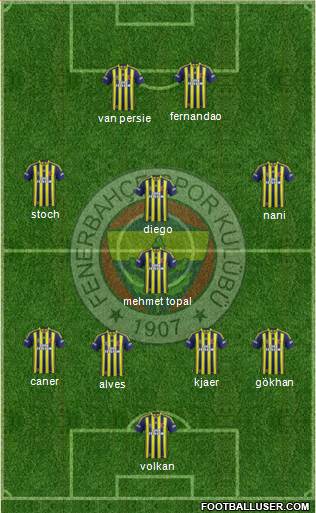 Fenerbahçe SK Formation 2015