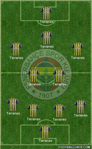 Fenerbahçe SK Formation 2015
