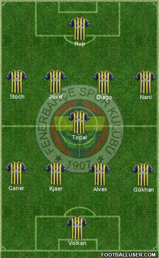 Fenerbahçe SK Formation 2015