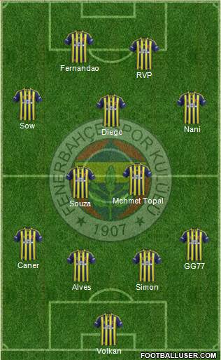 Fenerbahçe SK Formation 2015
