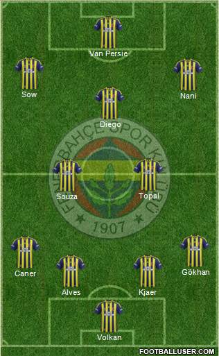 Fenerbahçe SK Formation 2015