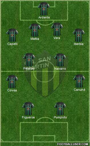 San Martín de San Juan Formation 2015