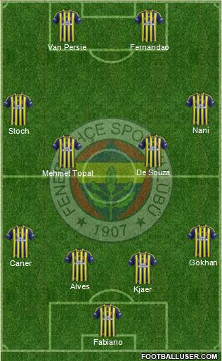 Fenerbahçe SK Formation 2015
