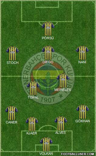 Fenerbahçe SK Formation 2015
