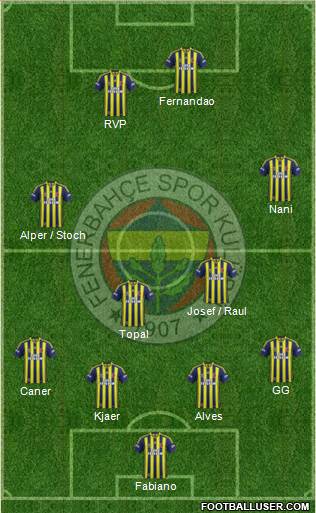 Fenerbahçe SK Formation 2015