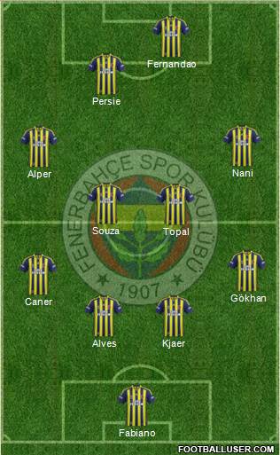 Fenerbahçe SK Formation 2015