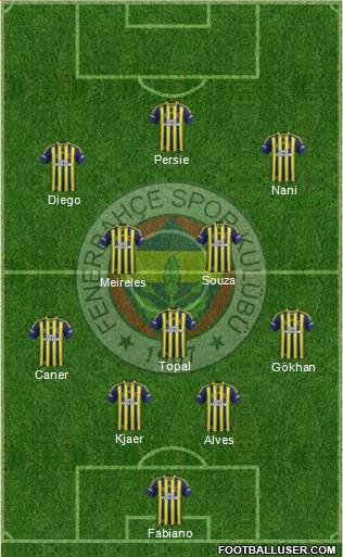 Fenerbahçe SK Formation 2015