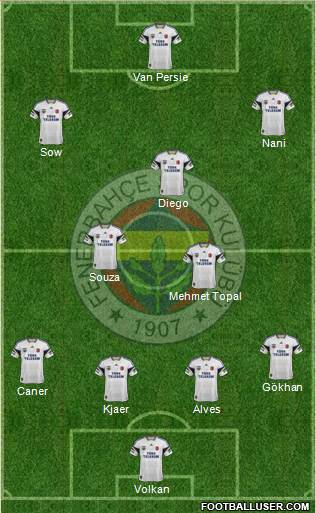 Fenerbahçe SK Formation 2015