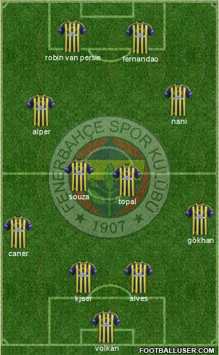 Fenerbahçe SK Formation 2015